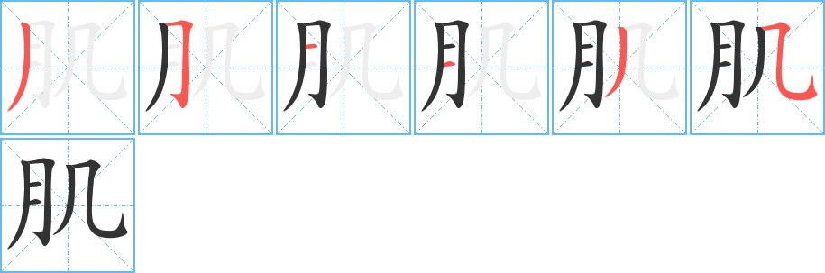 肌的筆順分步演示