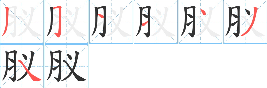 肞的筆順?lè)植窖菔?>
					
                    <hr />
                    <h2>肞的基本信息</h2>
                    <div   id=