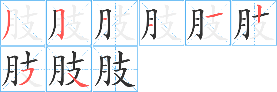 肢的筆順分步演示