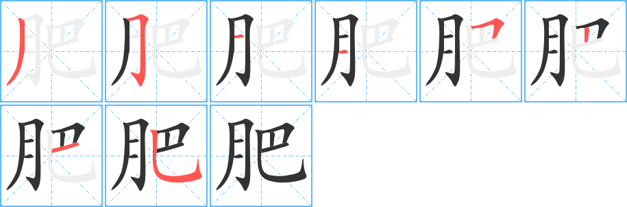 肥的筆順分步演示