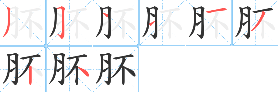 肧的筆順分步演示