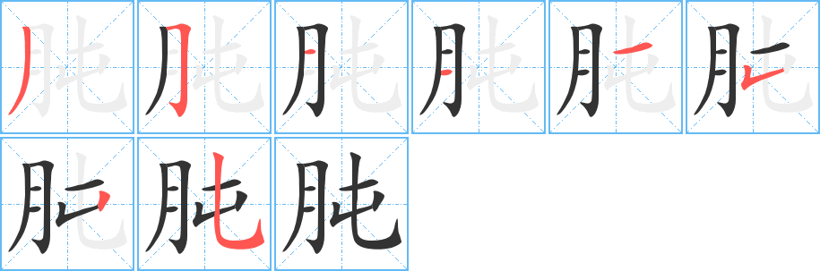 肫的筆順分步演示