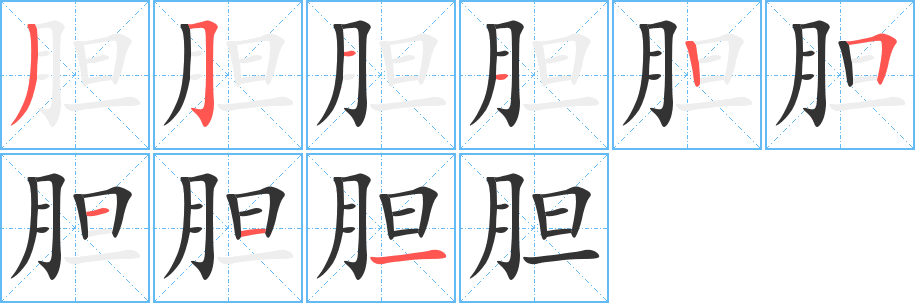 膽的筆順分步演示