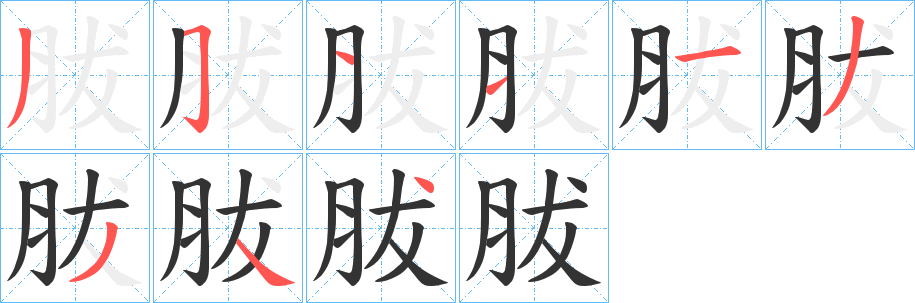 胈的筆順?lè)植窖菔?>
					
                    <hr />
                    <h2>胈的基本信息</h2>
                    <div   id=