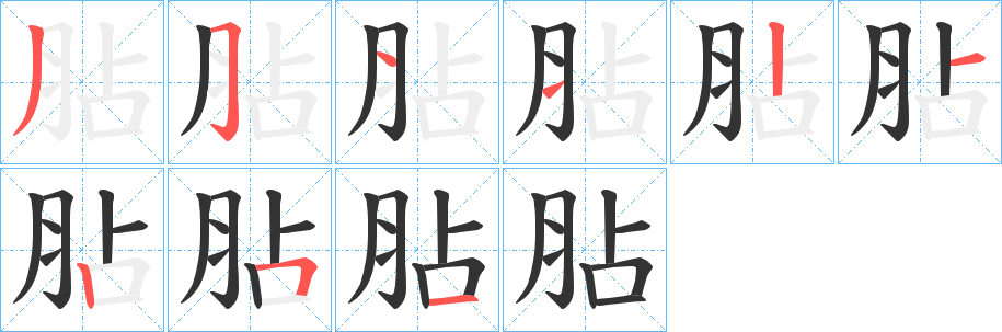 胋的筆順分步演示