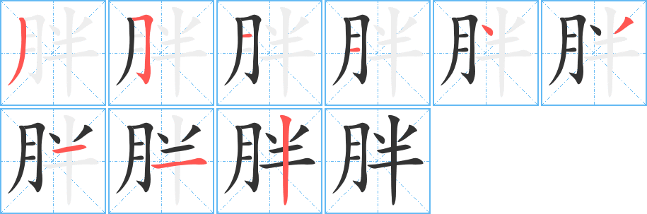 胖的筆順分步演示