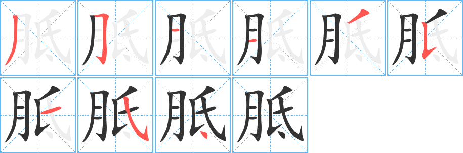 胝的筆順分步演示