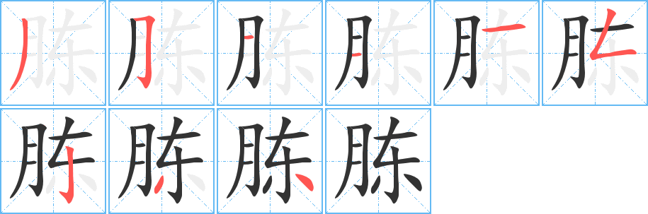 胨的筆順分步演示