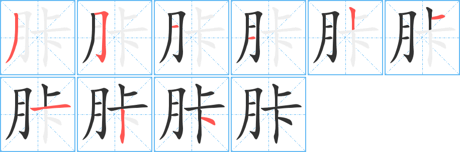 胩的筆順?lè)植窖菔?>
					
                    <hr />
                    <h2>胩的基本信息</h2>
                    <div   id=