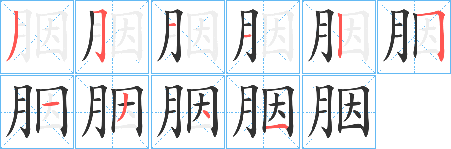 胭的筆順分步演示