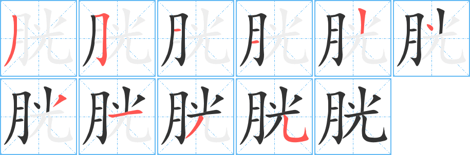 胱的筆順分步演示