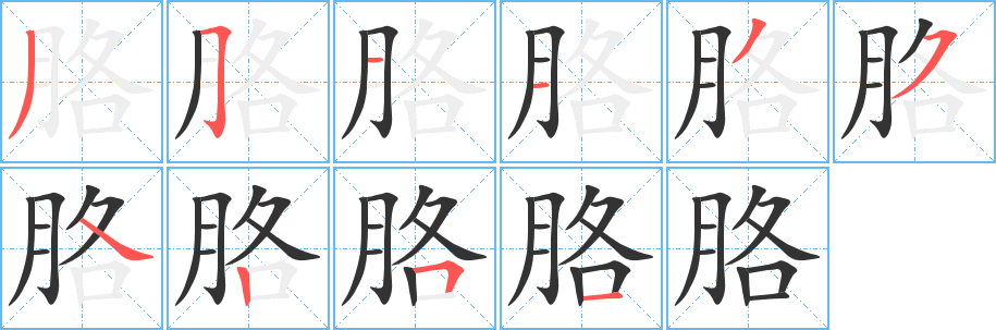 胳的筆順?lè)植窖菔?>
					
                    <hr />
                    <h2>胳的基本信息</h2>
                    <div   id=