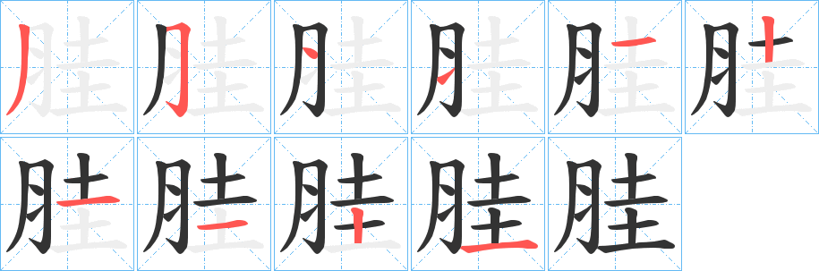 胿的筆順?lè)植窖菔?>
					
                    <hr />
                    <h2>胿的基本信息</h2>
                    <div   id=