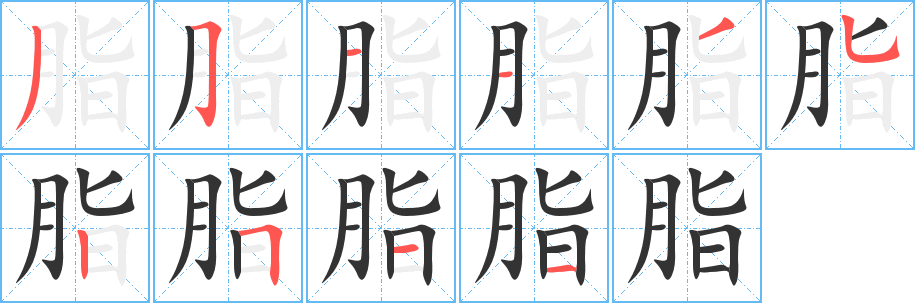 脂的筆順?lè)植窖菔?>
					
                    <hr />
                    <h2>脂的基本信息</h2>
                    <div   id=