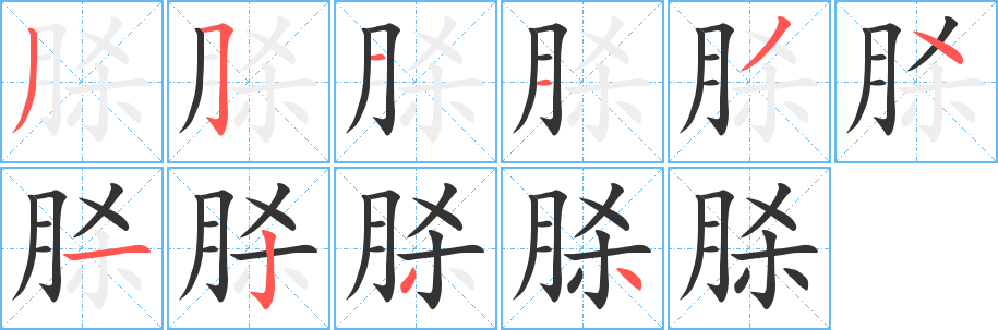 脎的筆順分步演示