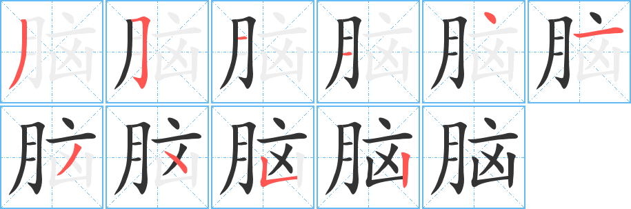 腦的筆順分步演示