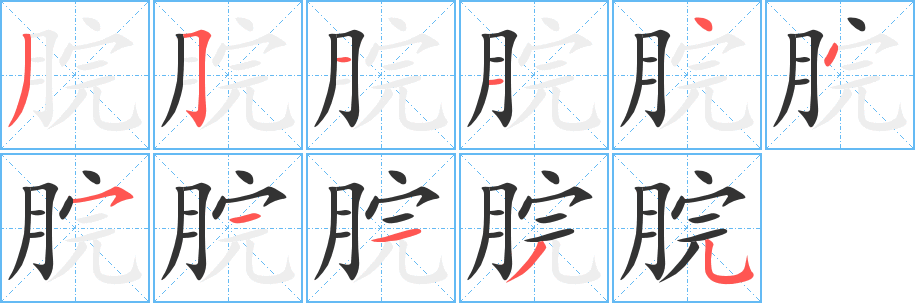 脘的筆順分步演示