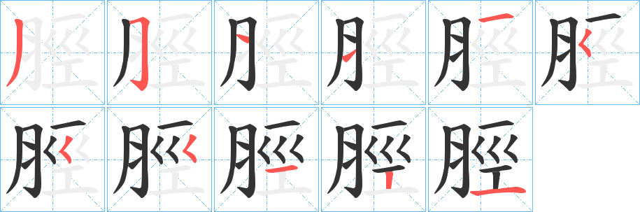 脛的筆順?lè)植窖菔?>
					
                    <hr />
                    <h2>脛的基本信息</h2>
                    <div   id=