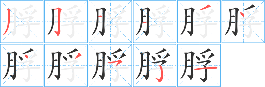 脬的筆順分步演示