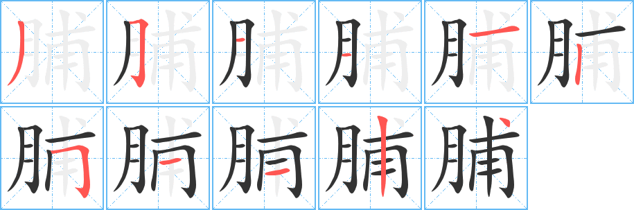 脯的筆順分步演示