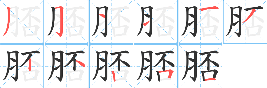 脴的筆順分步演示