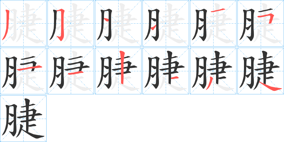 脻的筆順分步演示