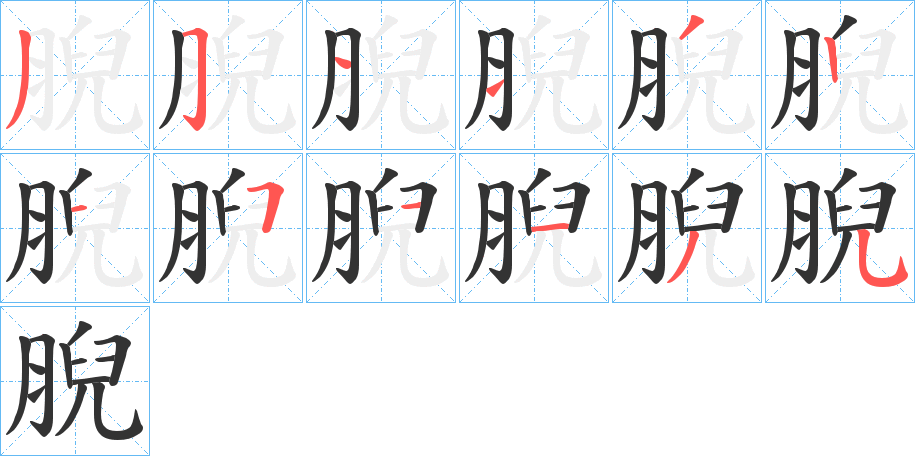 腉的筆順分步演示