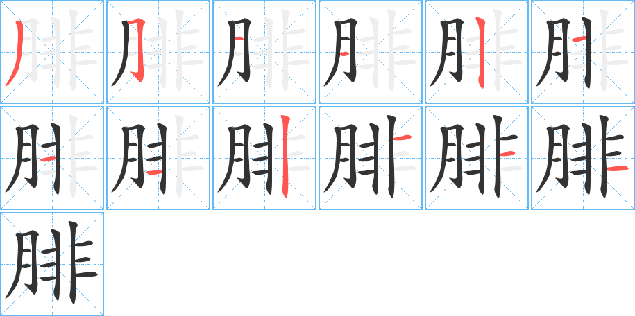 腓的筆順分步演示