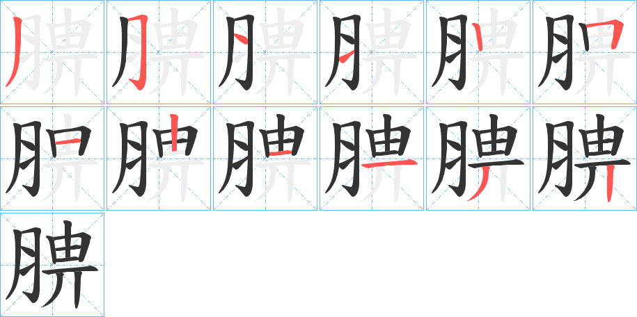 腗的筆順分步演示