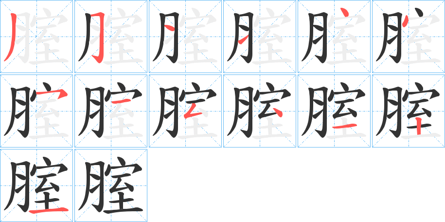 腟的筆順分步演示