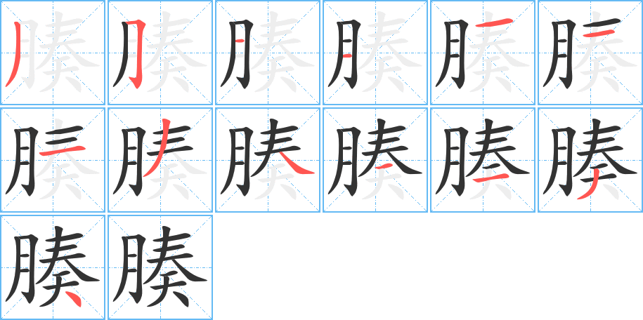 腠的筆順分步演示