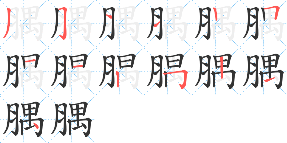 腢的筆順?lè)植窖菔?>
					
                    <hr />
                    <h2>腢的基本信息</h2>
                    <div   id=