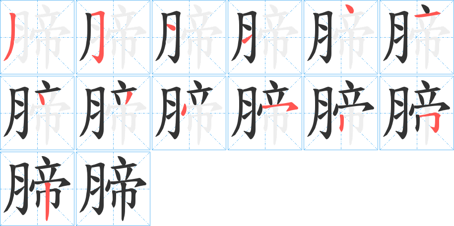 腣的筆順分步演示