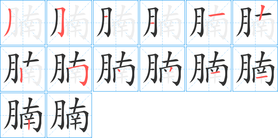 腩的筆順?lè)植窖菔?>
					
                    <hr />
                    <h2>腩的基本信息</h2>
                    <div   id=