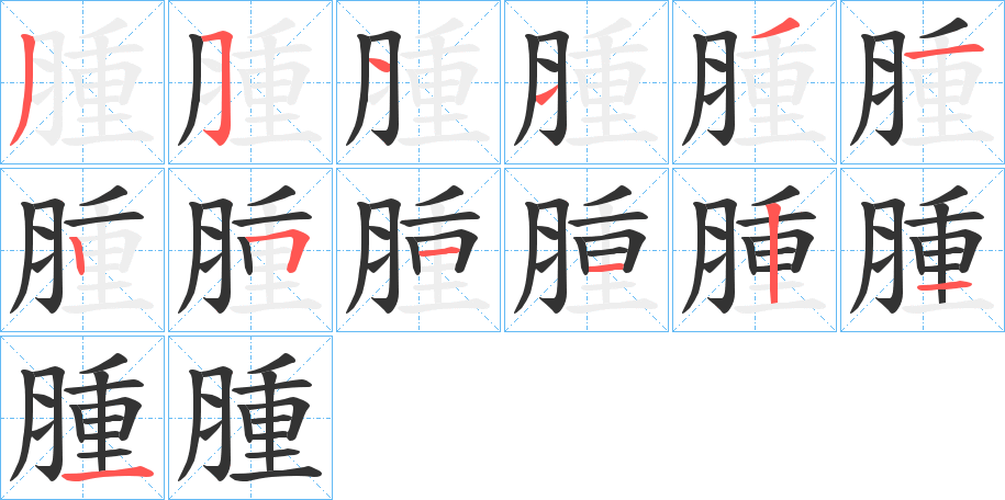 腫的筆順分步演示