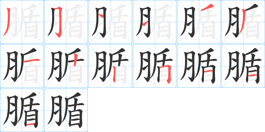 腯的筆順?lè)植窖菔?>
					
                    <hr />
                    <h2>腯的基本信息</h2>
                    <div   id=