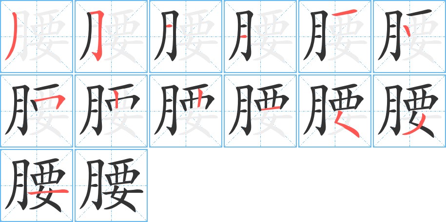 腰的筆順?lè)植窖菔?>
					
                    <hr />
                    <h2>腰的基本信息</h2>
                    <div   id=