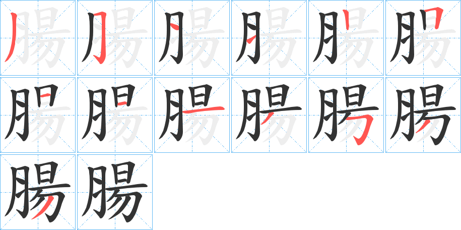 腸的筆順?lè)植窖菔?>
					
                    <hr />
                    <h2>腸的基本信息</h2>
                    <div   id=