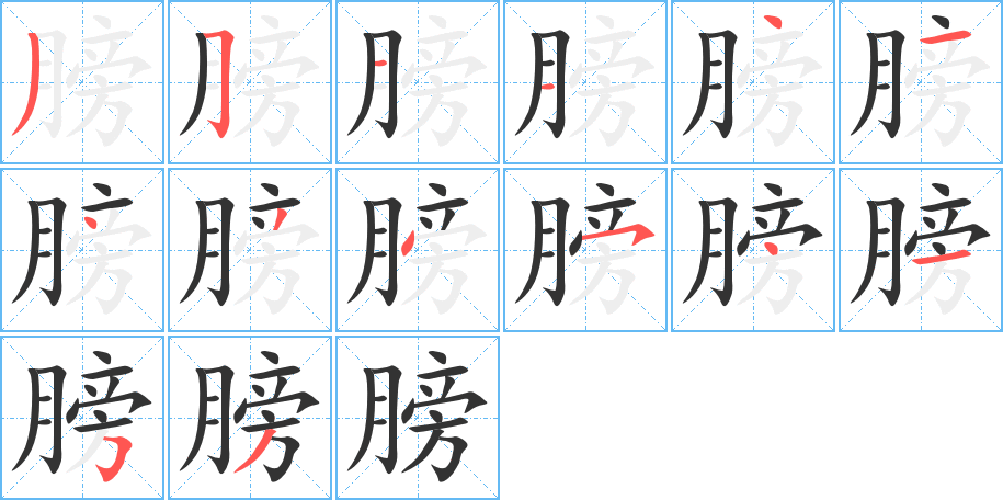 膀的筆順分步演示