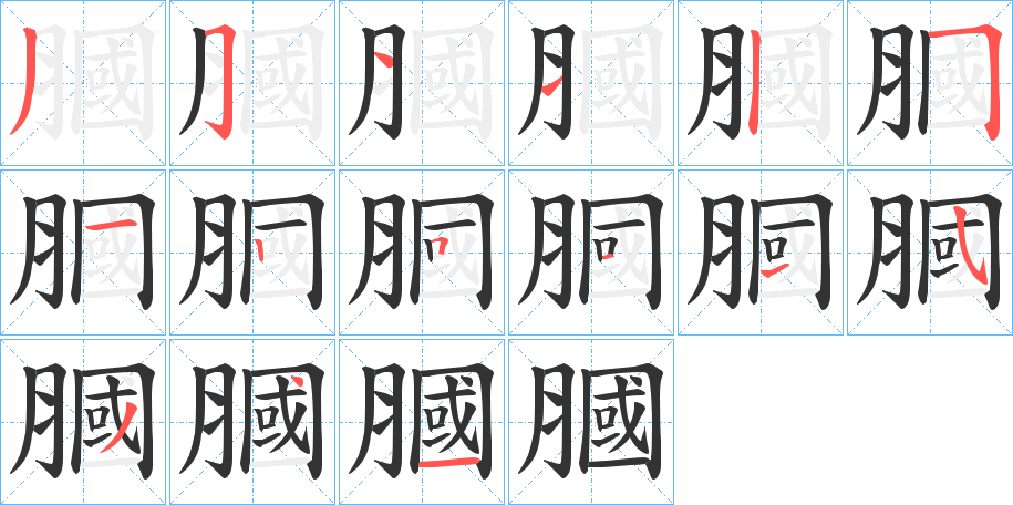 膕的筆順分步演示