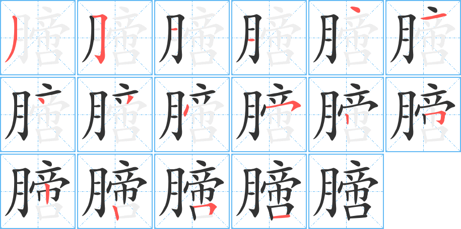 膪的筆順分步演示