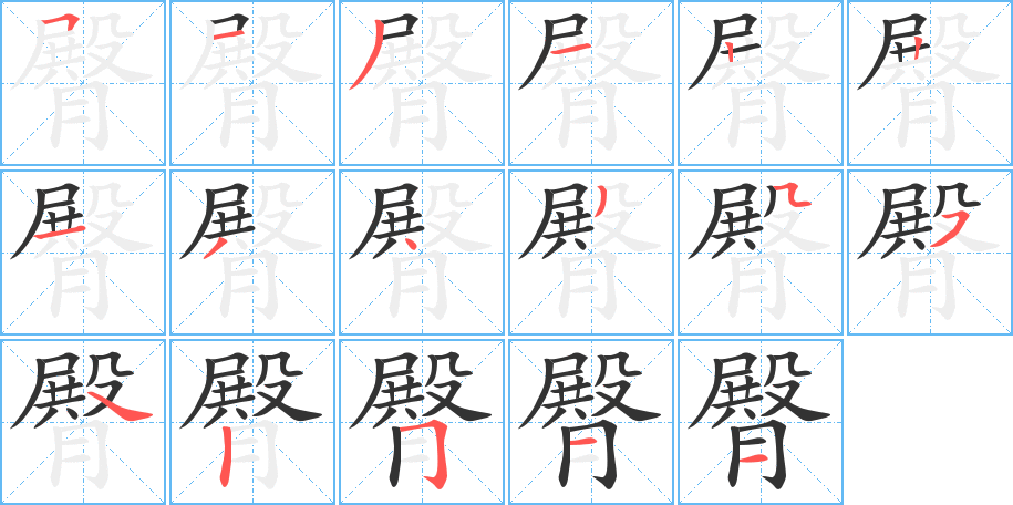 臀的筆順分步演示