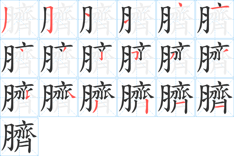 臍的筆順分步演示