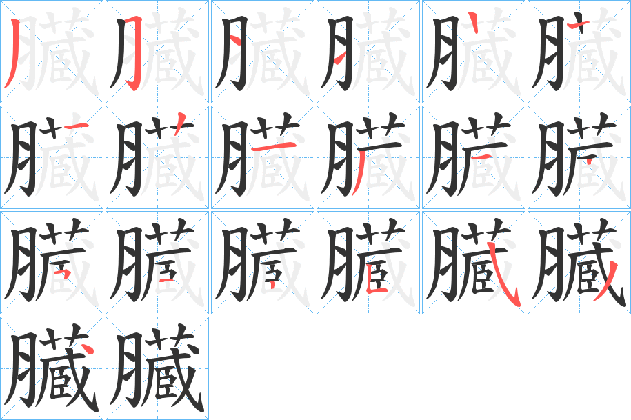 臓的筆順?lè)植窖菔?>
					
                    <hr />
                    <h2>臓的基本信息</h2>
                    <div   id=