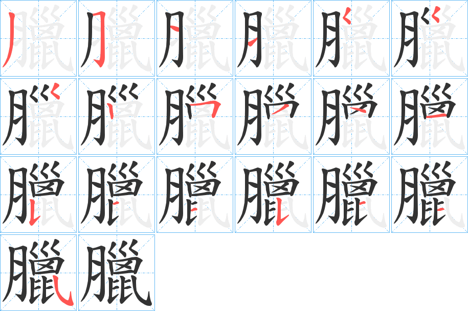 臘的筆順分步演示