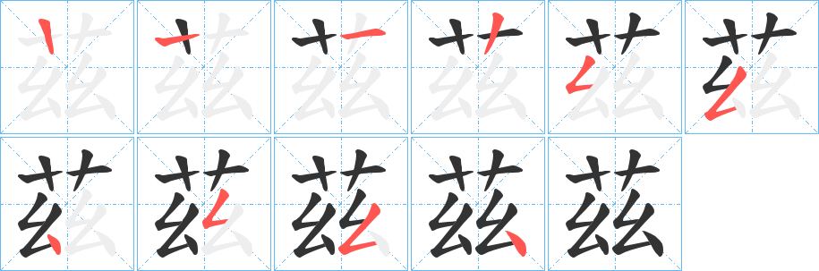 茲的筆順?lè)植窖菔?>
					
                    <hr />
                    <h2>茲的基本信息</h2>
                    <div   id=