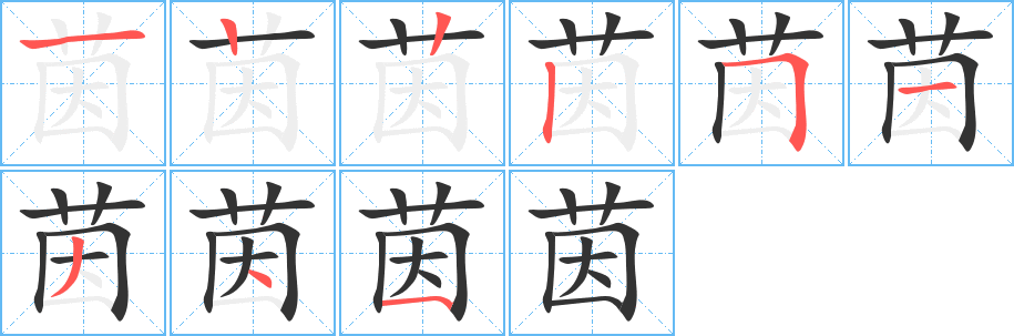 茵的筆順?lè)植窖菔?>
					
                    <hr />
                    <h2>茵的基本信息</h2>
                    <div   id=