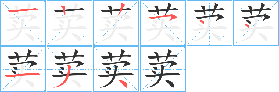 荬的筆順分步演示