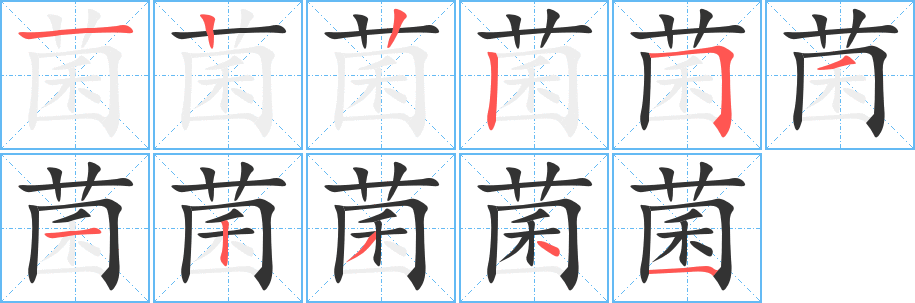 菌的筆順?lè)植窖菔?>
					
                    <hr />
                    <h2>菌的基本信息</h2>
                    <div   id=