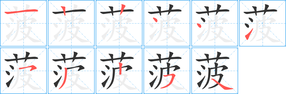 菠的筆順分步演示